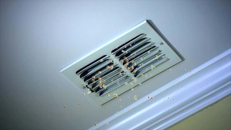 Best Affordable Duct Cleaning Services  in Tell City, IN
